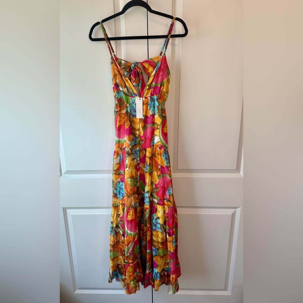 Love the Label Oceane Maxi Dress in Juicy Print NWT (Size XS)
